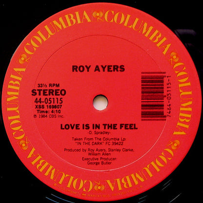 Roy Ayers : In The Dark (12")