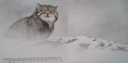 Nick Cave & Warren Ellis : La Panthère Des Neiges (LP, Album, Ltd, Pic)