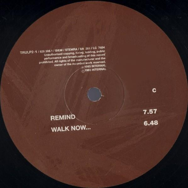 Orbital : Orbital (2xLP, Album)