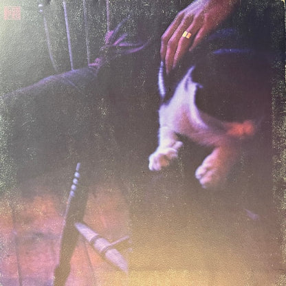 Ian Matthews* : If You Saw Thro' My Eyes (LP, Album, RP, Sma)