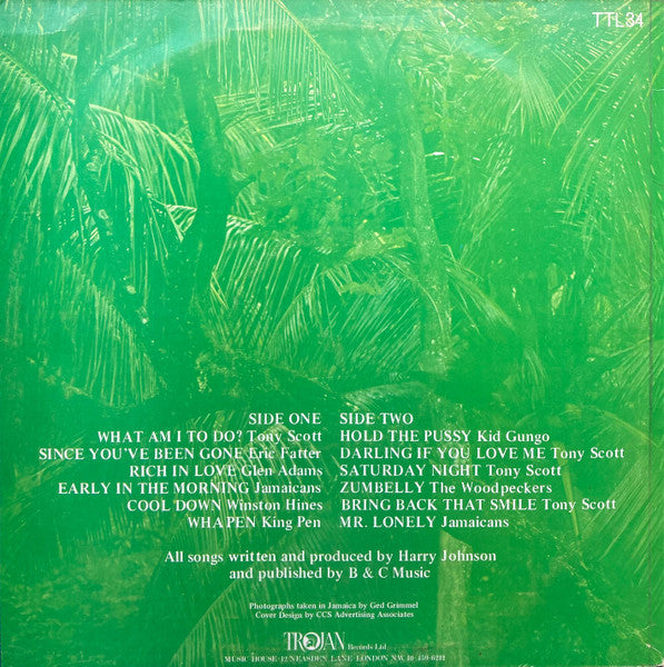 Various : What Am I To Do (LP, Comp, Mono)