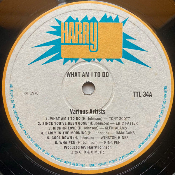 Various : What Am I To Do (LP, Comp, Mono)