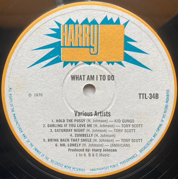 Various : What Am I To Do (LP, Comp, Mono)