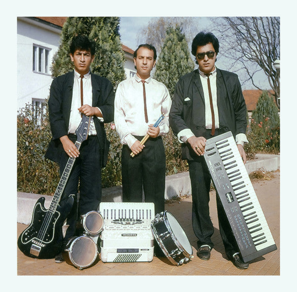 Ansambl Mileta Petrovića* : Veseli Romi (LP, Album, Comp)