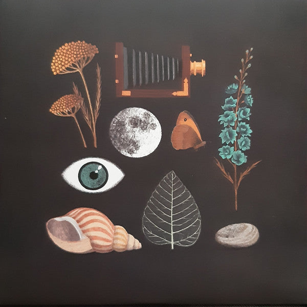 Andrew Wasylyk : Hearing The Water Before Seeing The Falls (LP, Album, Tur)