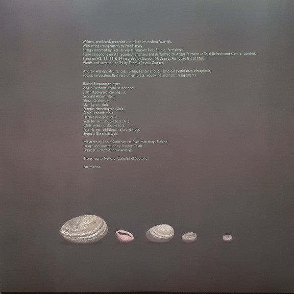 Andrew Wasylyk : Hearing The Water Before Seeing The Falls (LP, Album, Tur)