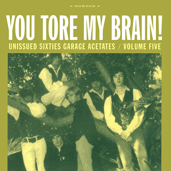 Various : You Tore My Brain! (Unissued Sixties Garage Acetates / Volume Five) (LP, Comp)