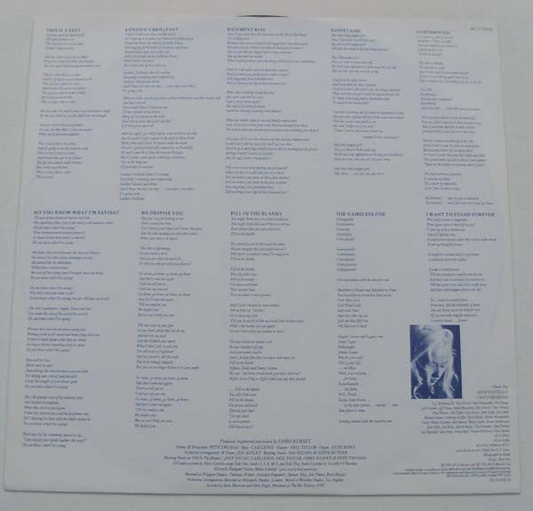 Wendy James : Now Ain't The Time For Your Tears (LP, Album)
