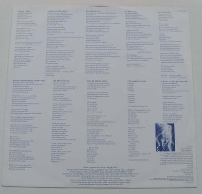Wendy James : Now Ain't The Time For Your Tears (LP, Album)