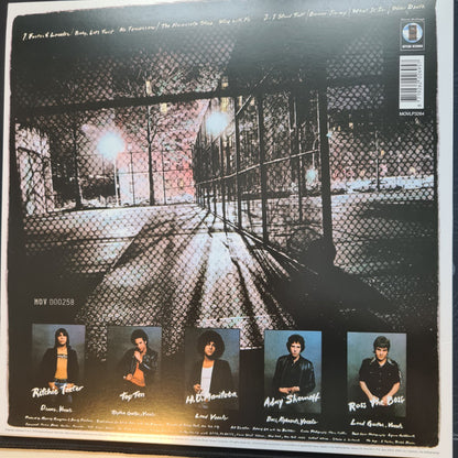 The Dictators : Bloodbrothers (LP, Ltd, Num, RM, Whi)
