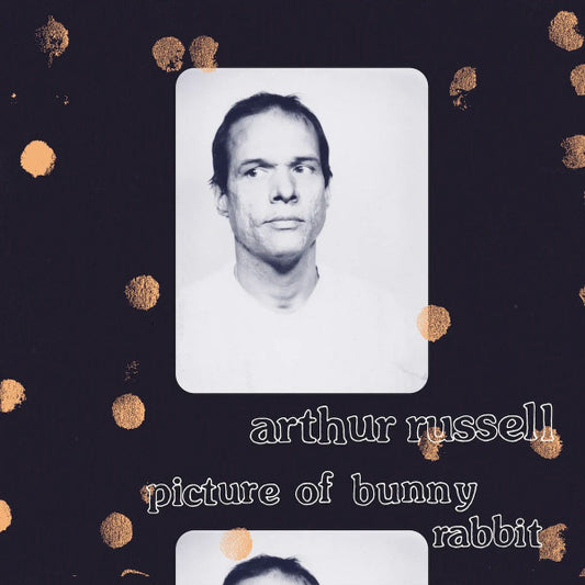 Arthur Russell : Picture Of Bunny Rabbit (LP, Comp)