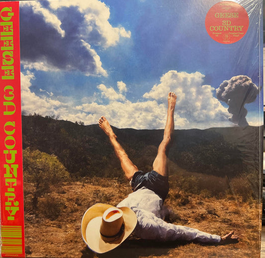 Geese (11) : 3D Country (LP, Album, Ltd, Cle)