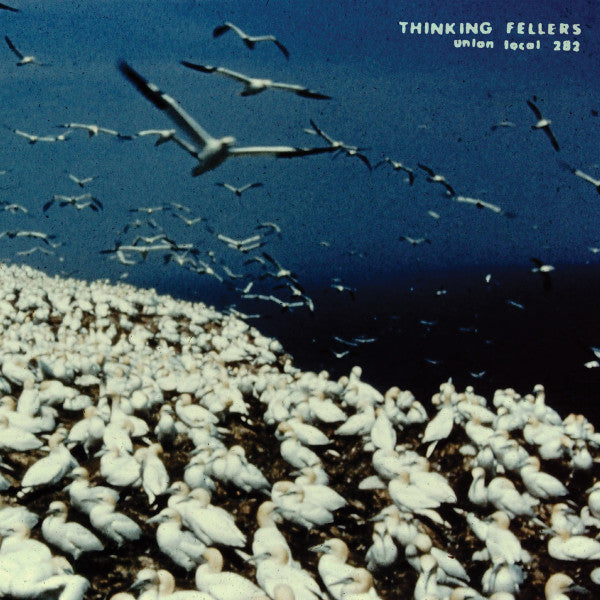 Thinking Fellers Union Local 282 : These Things Remain Unassigned (Singles, Compilation Tracks, Rarities & Unreleased Recordings) (2xLP, Comp, Ltd)