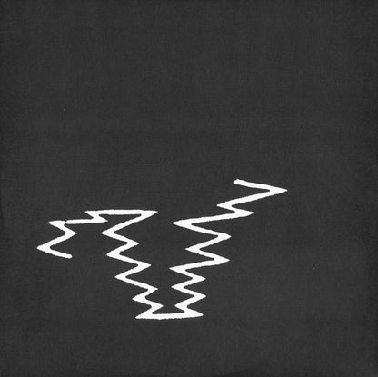 The Chemical Brothers : Born In The Echoes (2xLP, Album, RE, 180)