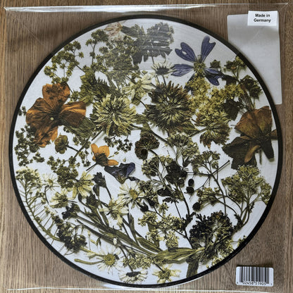 The Last Dinner Party : Prelude To Ecstasy (LP, Album, Ltd, Pic)