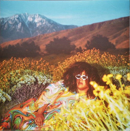 Brittany Howard : What Now (LP, Album)