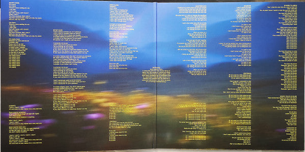 Brittany Howard : What Now (LP, Album)