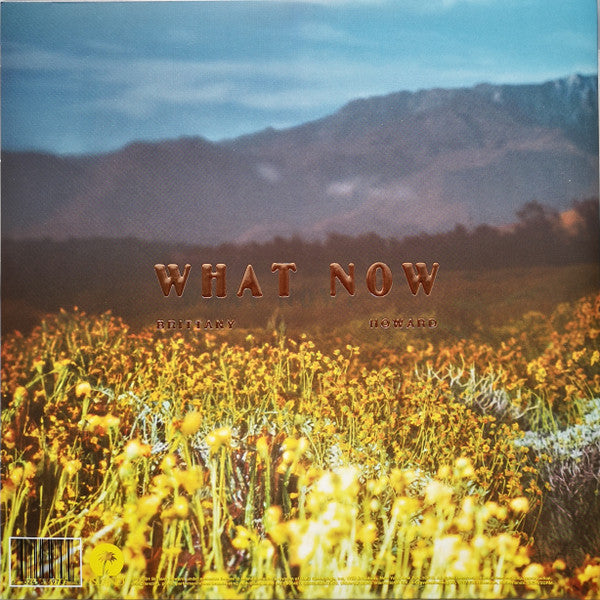 Brittany Howard : What Now (LP, Album)