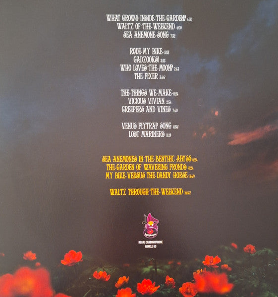 Soft Hearted Scientists : Waltz Of The Weekend  (3xLP, Album, Ltd, RE, Ran)