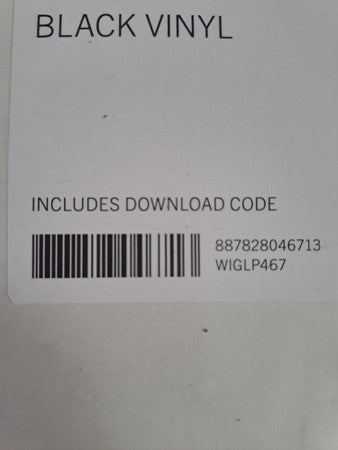 The Fat White Family : Forgiveness Is Yours (LP, Album)