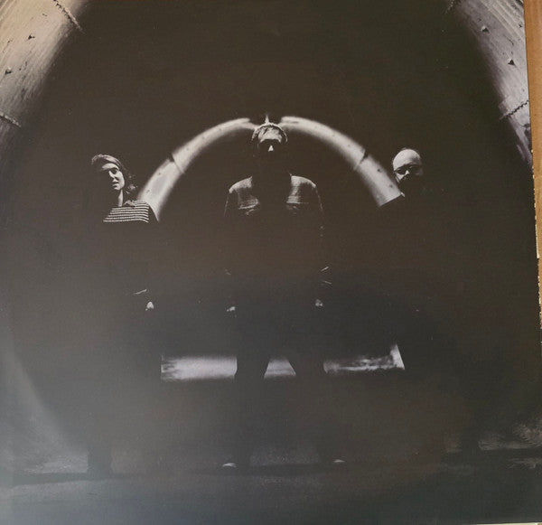 Mammoth Penguins : Here (LP, Album, Ltd, Ora)