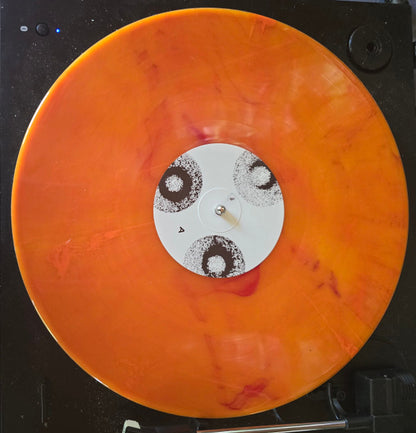 Mammoth Penguins : Here (LP, Album, Ltd, Ora)