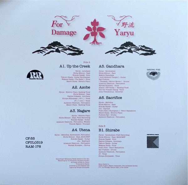 Yaryu = 野流* : For Damage (LP, Album)