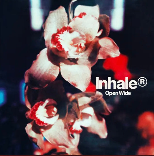 Inhaler (12) : Open Wide (LP, Album)