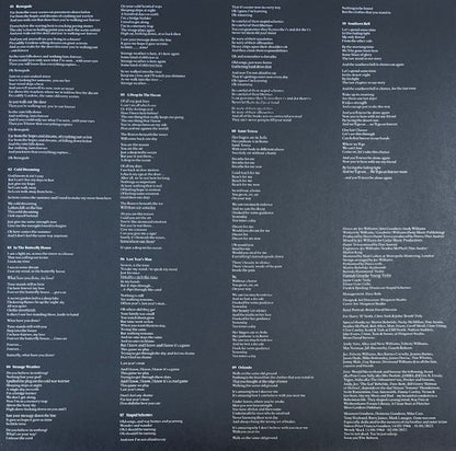 Doves : Constellations For The Lonely (LP, Album)