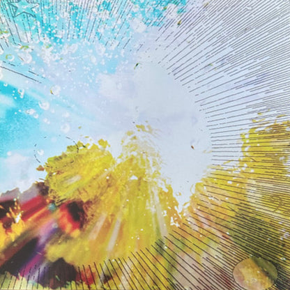 The Babe Rainbow : Slipper Imp And Shakaerator (LP, Album, Bla)