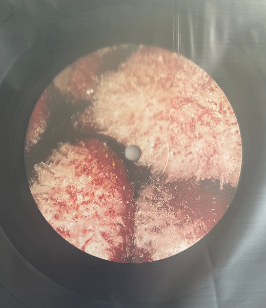 Thee Oh Sees : Floating Coffin (LP, Album, RP)