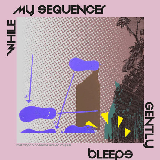 While My Sequencer Gently Bleeps : Last Night A Bassline Saved My Life (12", EP)