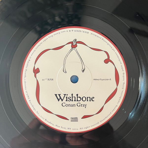 Conan Gray : Wishbone (LP, Album, Bla)