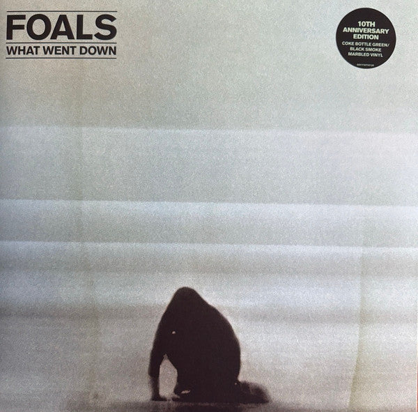 Foals : What Went Down (LP, Album, 10t)