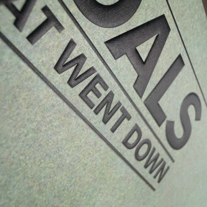 Foals : What Went Down (LP, Album, 10t)