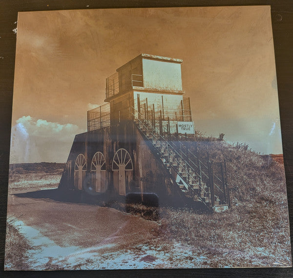 Thought Bubble : Mostly True (12")