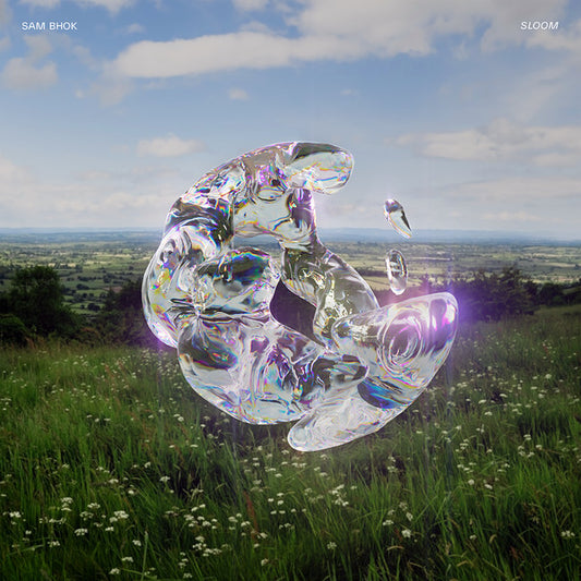 Sam Bhok : Sloom (12", Album, Eco)