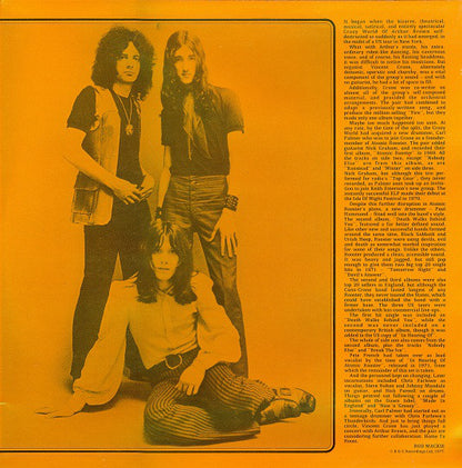 Atomic Rooster : Home To Roost (2xLP, Comp, RE)