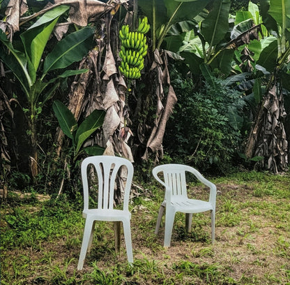 Bad Bunny : Debí Tirar Más Fotos (2xLP, Album, RE, Whi)