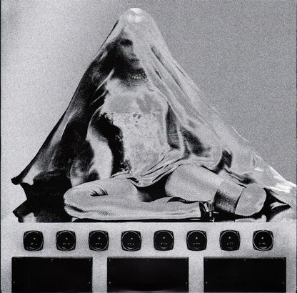 Madonna : Confessions II (LP, Album, Ltd, Mixed, Hot)