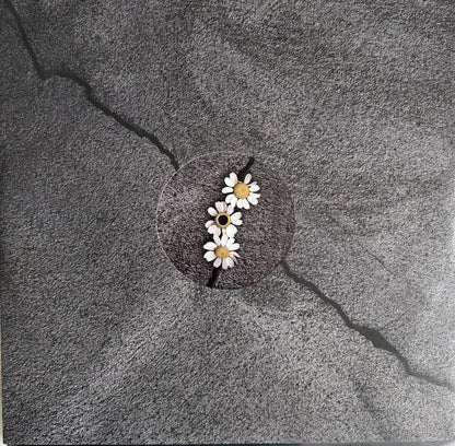 Ariana Grande : Petal (LP, Album, Tra)