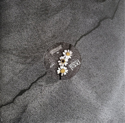 Ariana Grande : Petal (LP, Album, Tra)