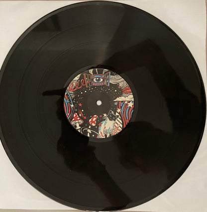 Pink Floyd : Star Club 67 (LP, Unofficial)