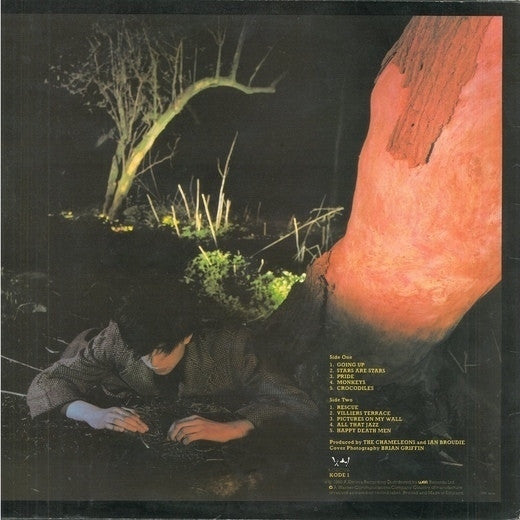 Echo & The Bunnymen : Crocodiles (LP, Album)