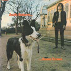 Andy Roberts (3) : Home Grown (LP, Album)