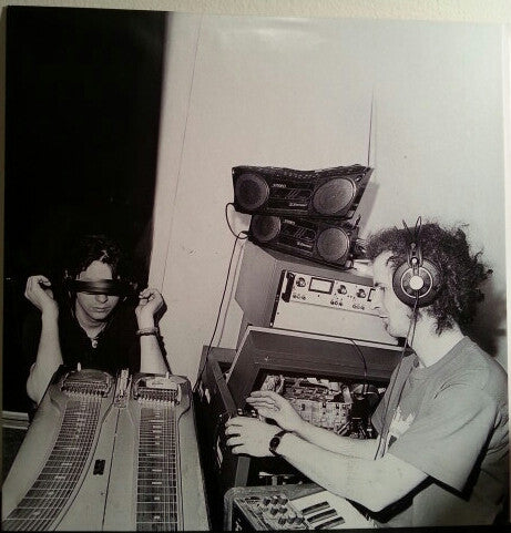 The Flaming Lips : Transmissions From The Satellite Heart LP