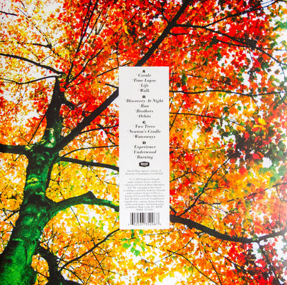 Ludovico Einaudi : In A Time Lapse (2xLP, Album, Gat)