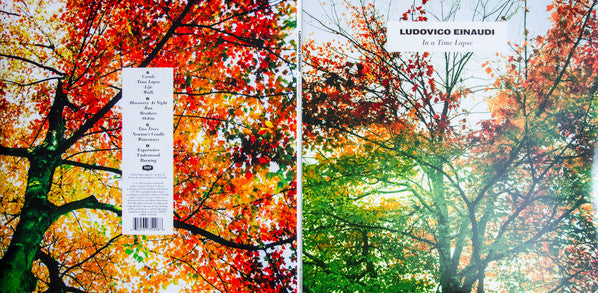 Ludovico Einaudi : In A Time Lapse (2xLP, Album, Gat)