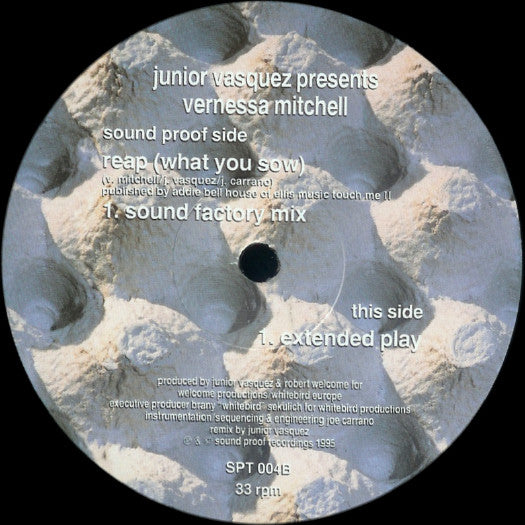 Junior Vasquez Presents Vernessa Mitchell : Reap (What You Sow) (2x12")