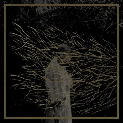 Forest Swords : Engravings (2x12", Album)